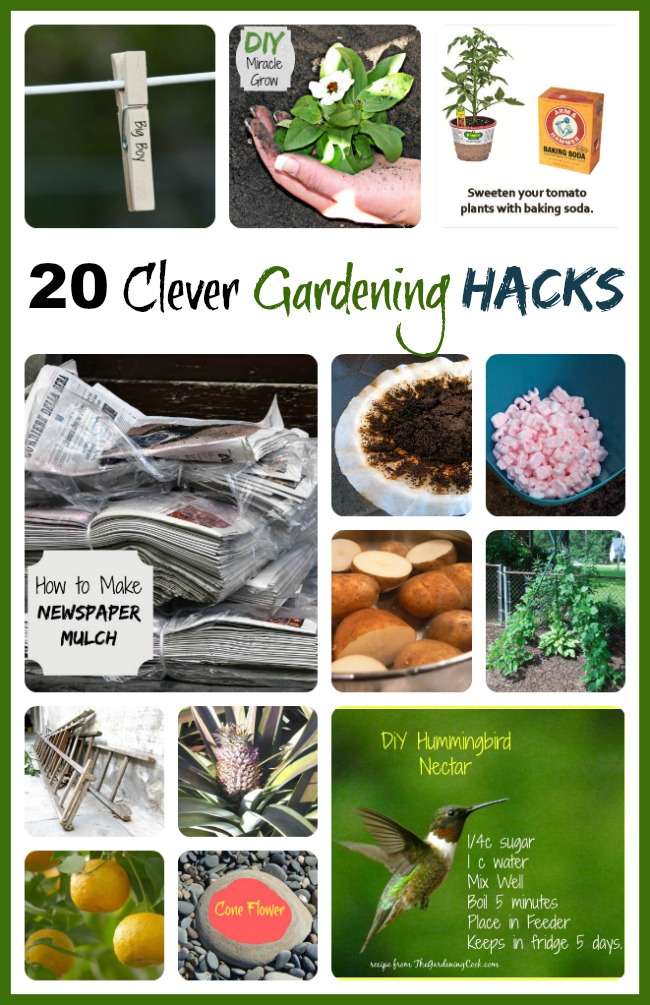 Trucs de jardineria: 20 idees intel·ligents per aclarir les vostres tasques del jardí