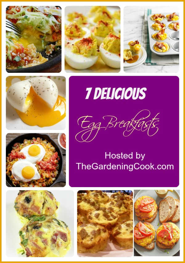 Mine favoritt eggoppskrifter – gode frokostideer