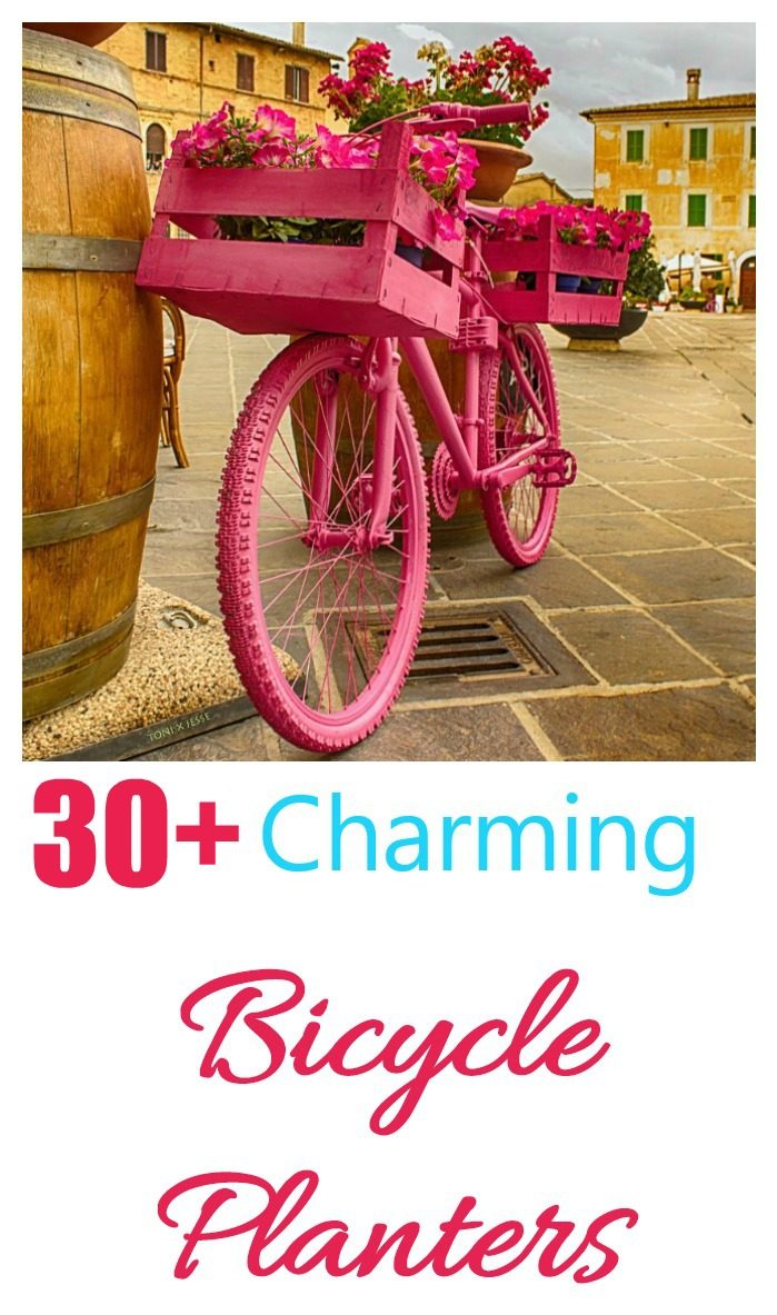 31 Dụng cụ trồng xe đạp sáng tạo và hay thay đổi cho khu vườn và sân của bạn