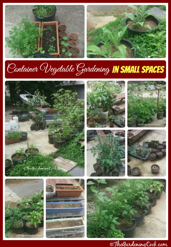Контејнерско градинарство со зеленчук за мали простори