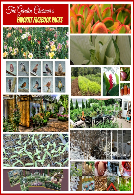 Les charmeurs de jardins partagent leurs pages Facebook préférées