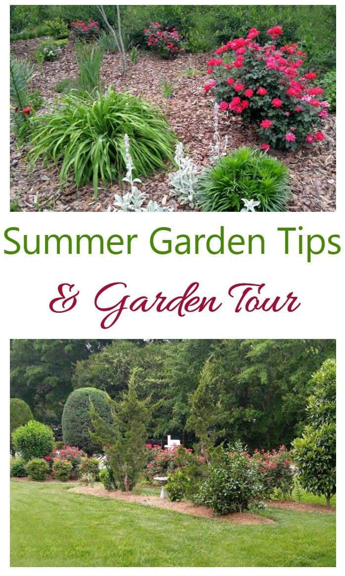 Consellos de xardín de verán &amp; Visita ao xardín - Mantemento do xardín no verán