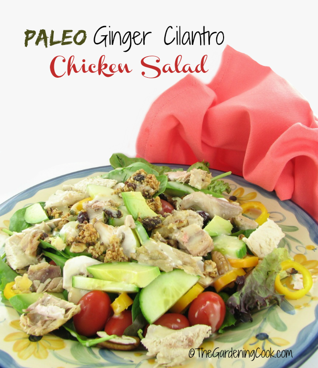 Paleo Ginger Cilantro tovuq salatasi