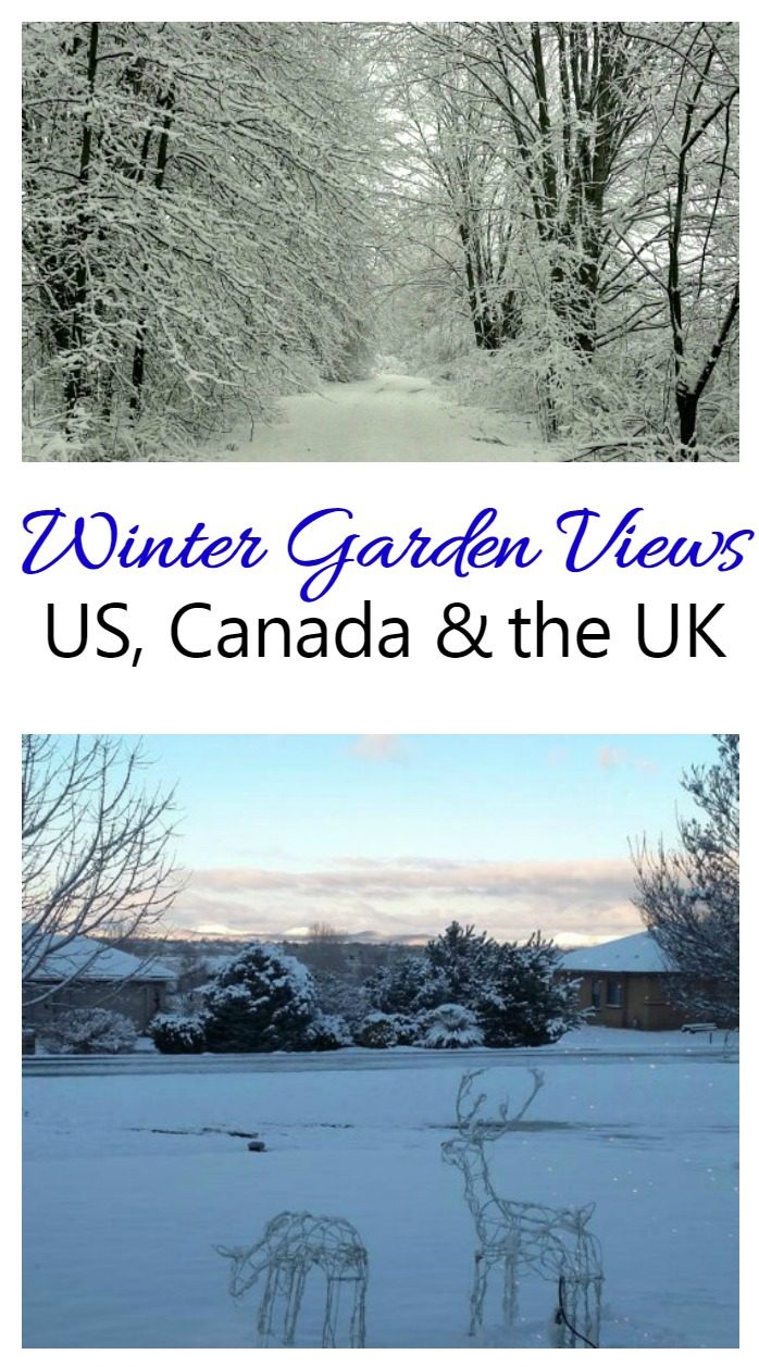 Ocak Ayında Kış Bahçesi Manzaraları