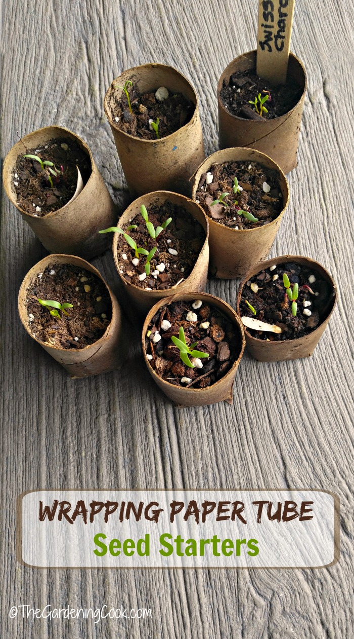 Eco friendly na Cardboard Tube Seed Starting Pots