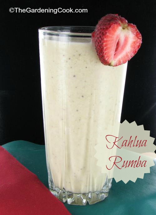 Kahlua Rumba - Böyüklər üçün Dondurma Milk Shake