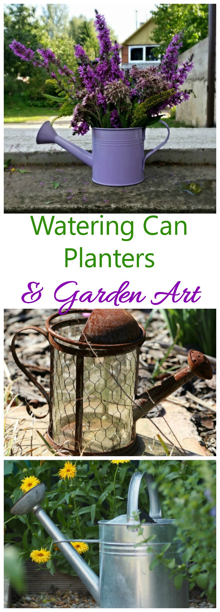 Vandkandeplanter og havekunst - genbrug dine vandkander