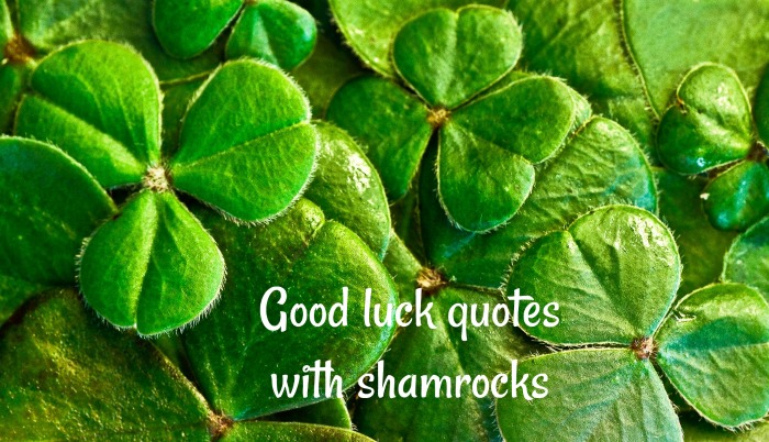 Good Luck Quotes – Best of Luck Wishes – Irish Quotes – Lucky Sayings