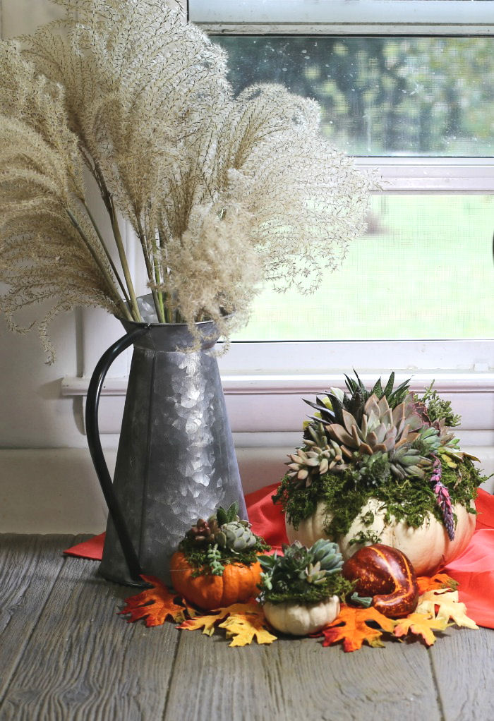 DIY Pumpkin Succulent Planters - Easy Fall Pumpkin Centerpiece