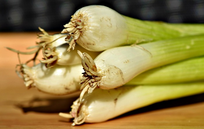 Palakihin muli ang Spring Onions sa Tubig – Masayang Paghahalaman Hack