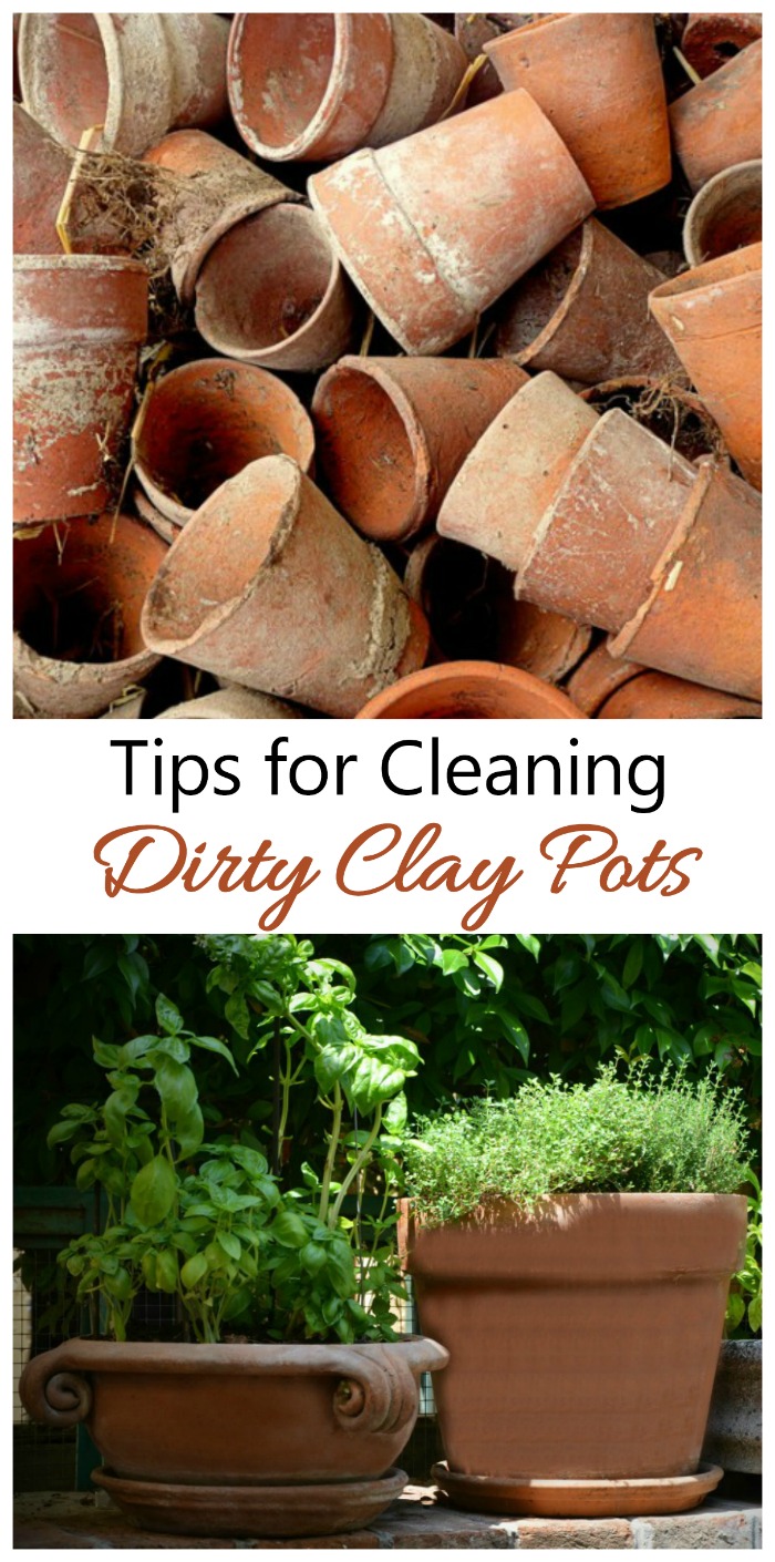Kleipotten schoonmaken - Zo maak je terracotta potten en plantenbakken schoon