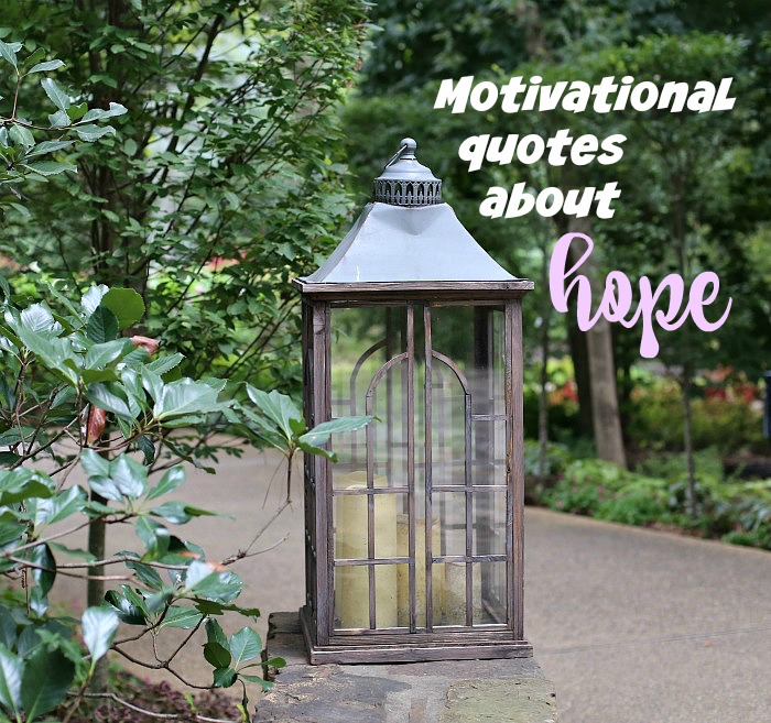 Inspirierende Zitate über Hoffnung - Motivationssprüche mit Blumenfotos