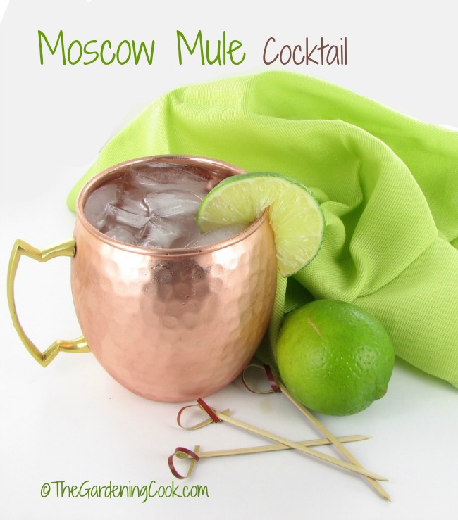 "Moscow Mule" kokteilis - aštrus smūgis su citrusiniais vaisiais