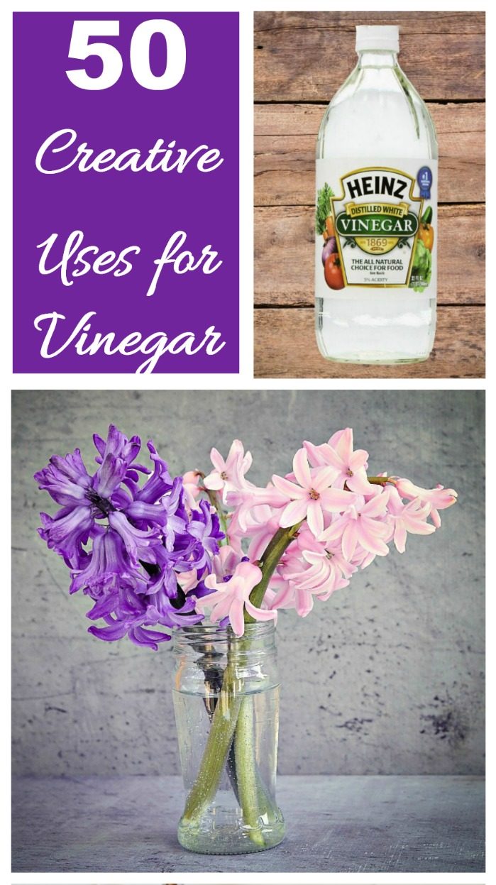 Més de 50 usos provats per al vinagre