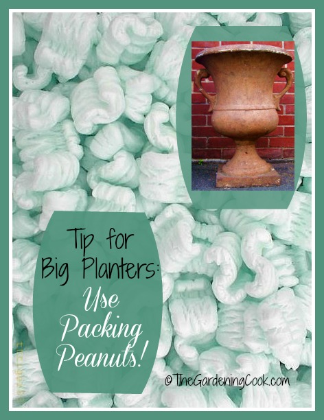 Совет по посадке растений в большие горшки - используйте упаковочный арахис