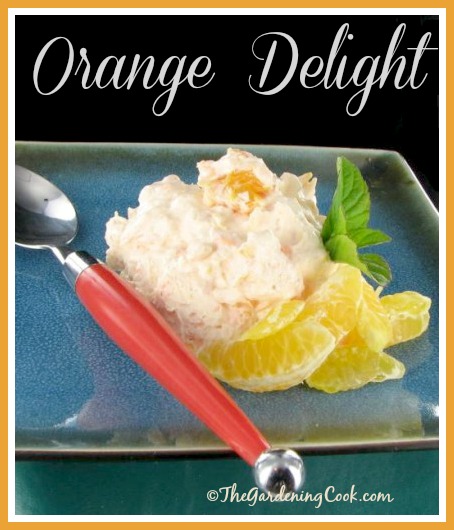 Delight Orange - Salad Citrus Refreshing