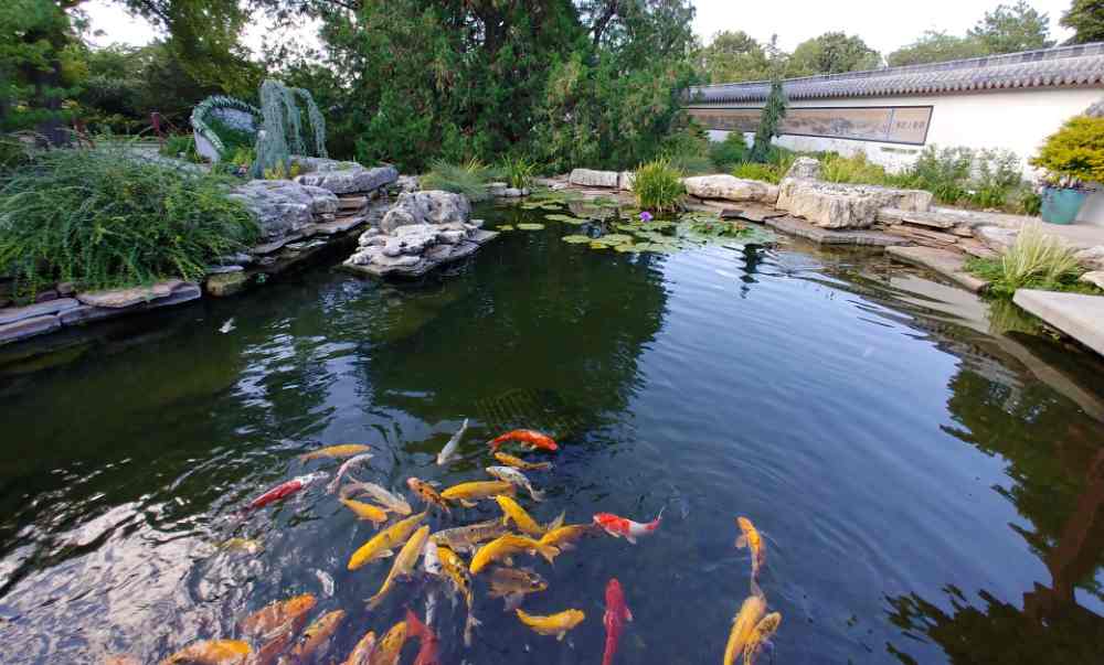 Botanica the Wichita Gardens hat den ultimativen Garten für Kinder