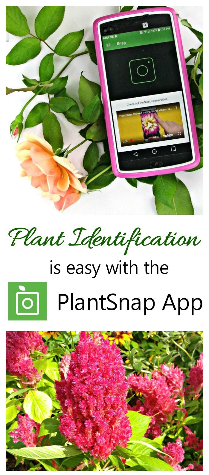 PlantSnap mobilā lietotne - padomi un triki labākajiem rezultātiem