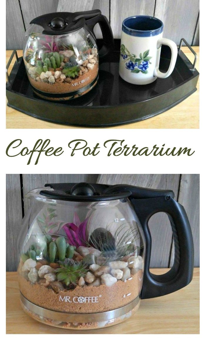 Κεσεδάκι καφέ Terrarium
