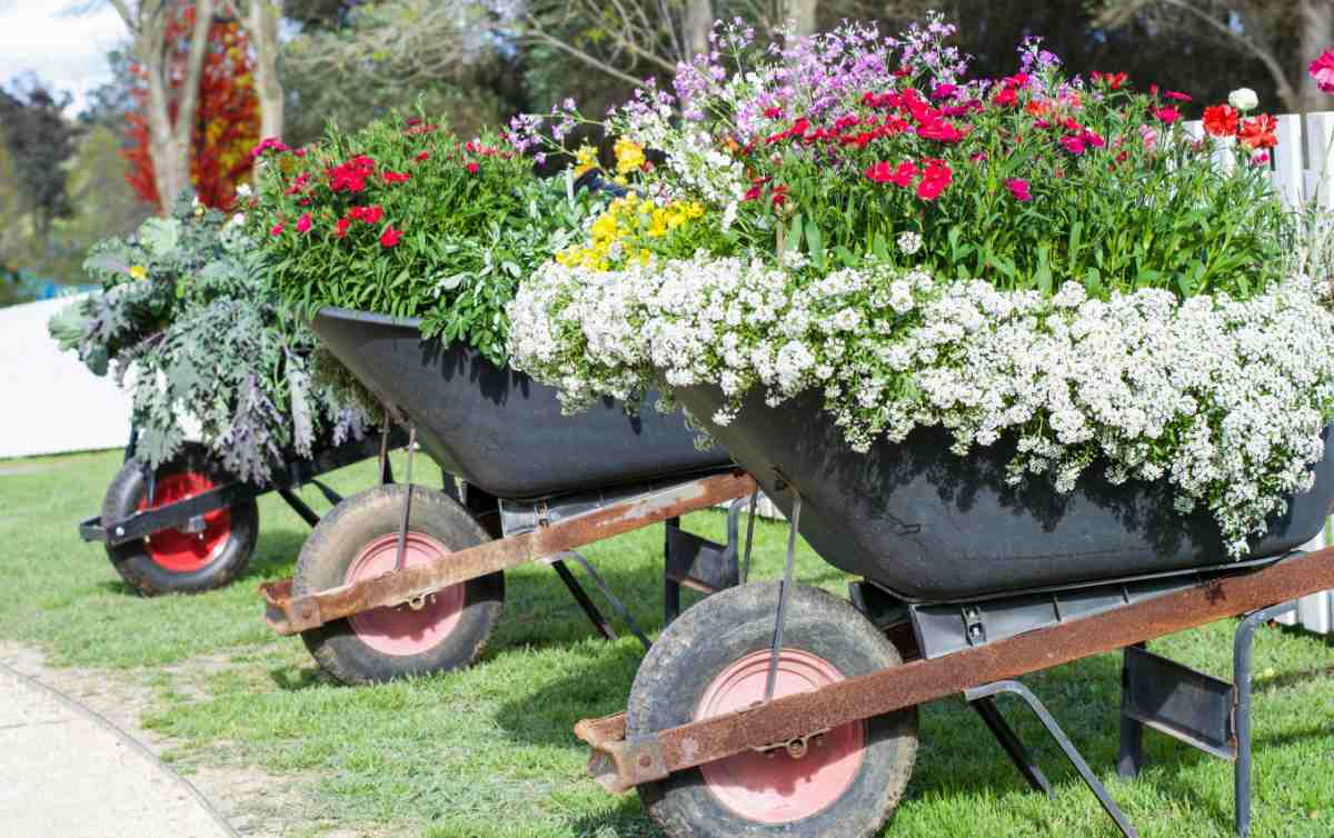 Ý tưởng về người trồng xe cút kít DIY – Người trồng cây trong vườn xe cút kít