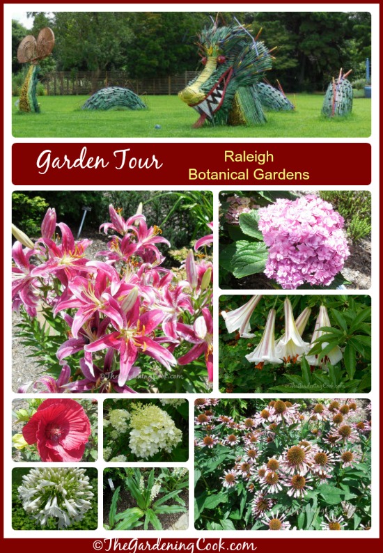 Lawatan Taman Botani Raleigh