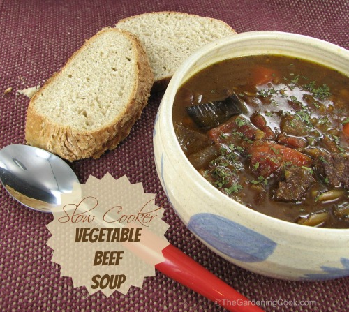 Crock Pot Vegetable Beef Soup