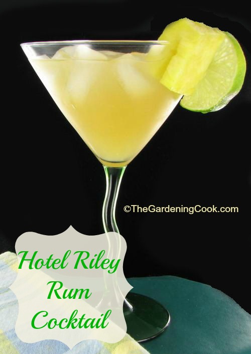 Hotel Riley Rum Cocktail - Loma-aika!