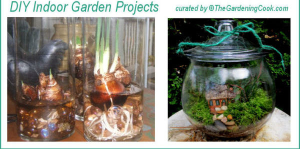 Proxectos creativos e divertidos de xardín de bricolaxe
