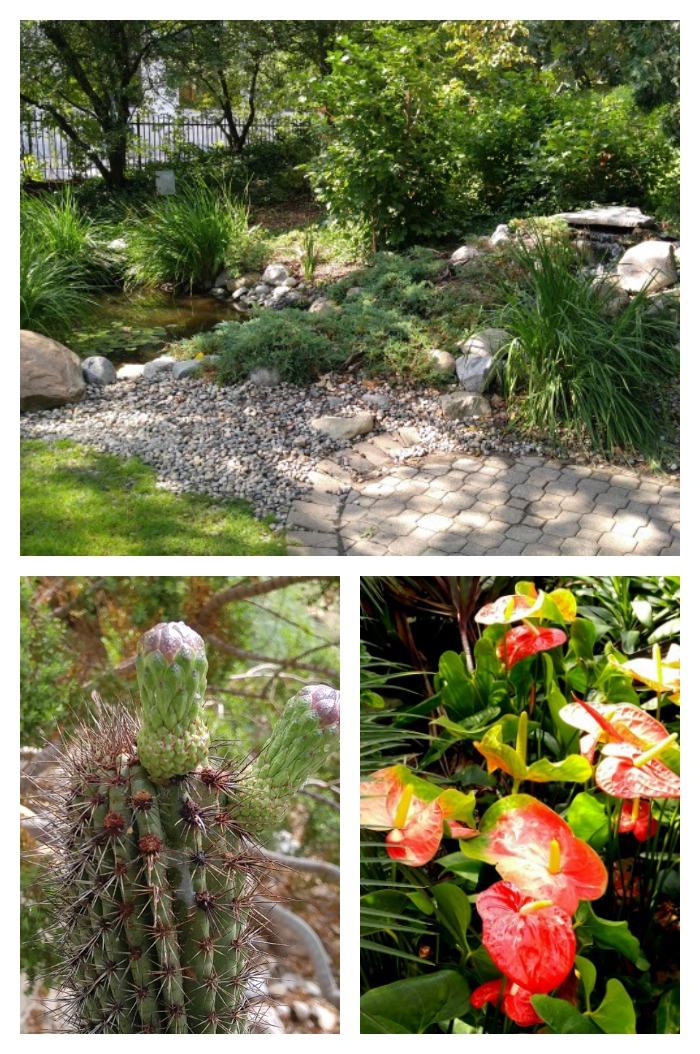 FoellingerFreimann Botanical Conservatory - Botanisk trädgård inomhus i Fort Wayne, Indiana