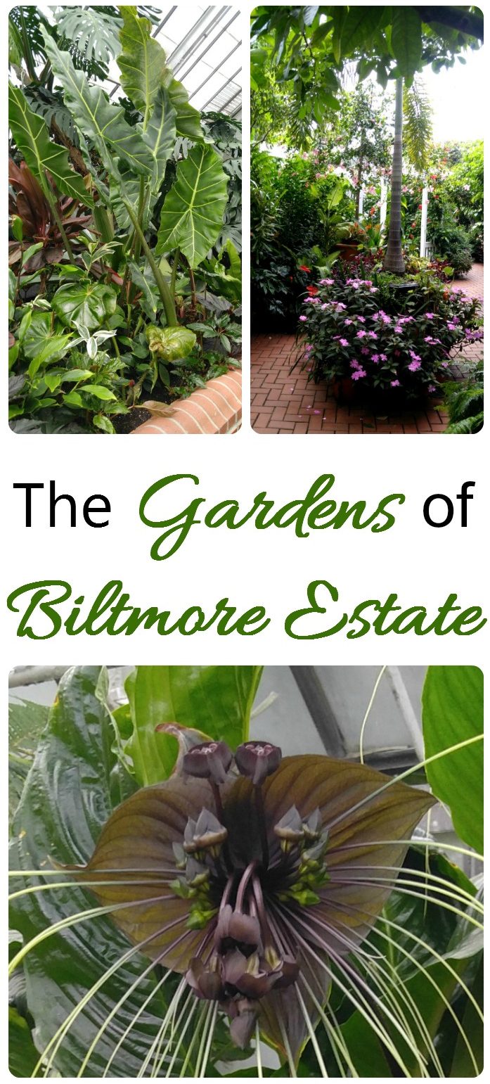 Biltmore Estate Gardens Tour