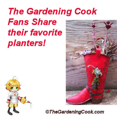 Aanhangers van die Gardening Cook deel hul gunsteling planters