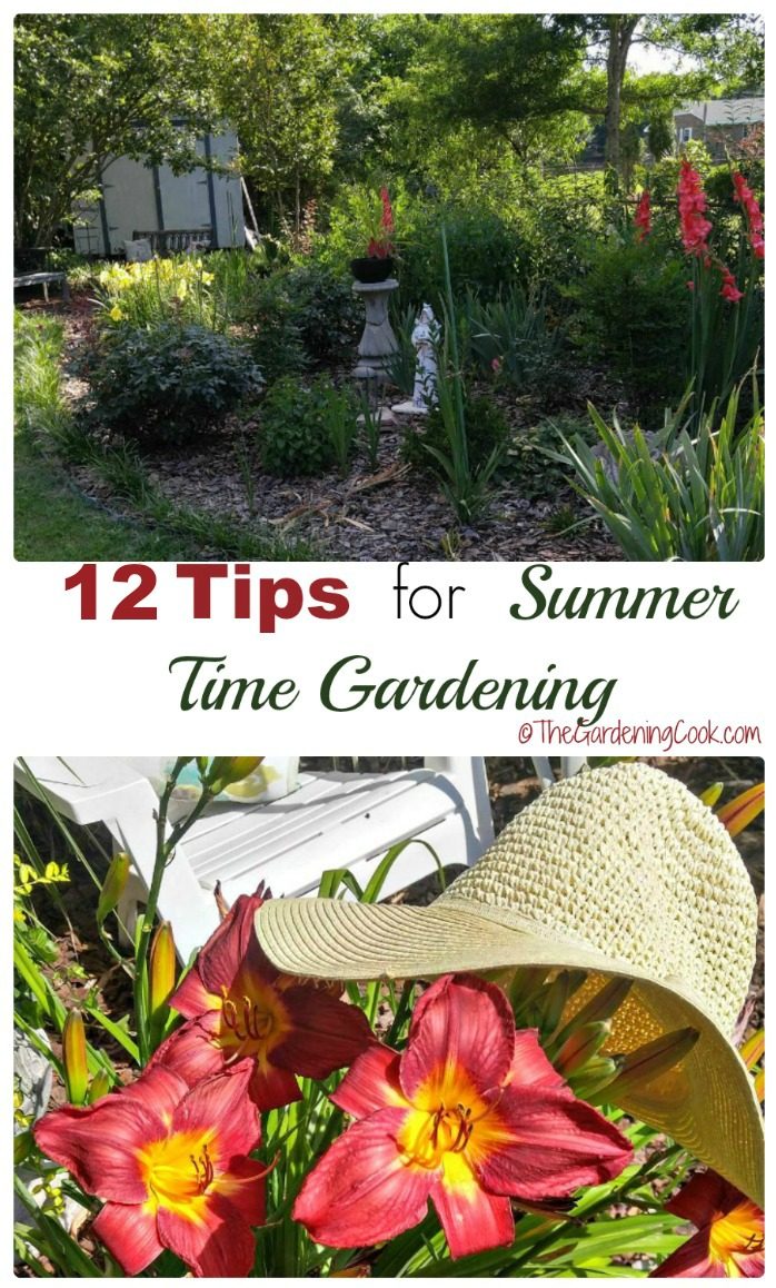 12 порад для садівництва влітку, які допоможуть впоратися зі спекою