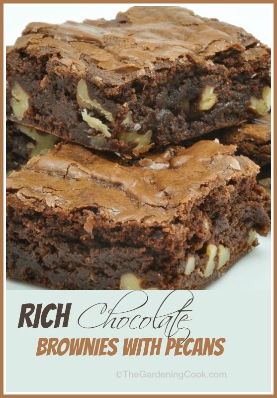 Brownie de chocolate rico con pacanas - Sobremesa Alguén?