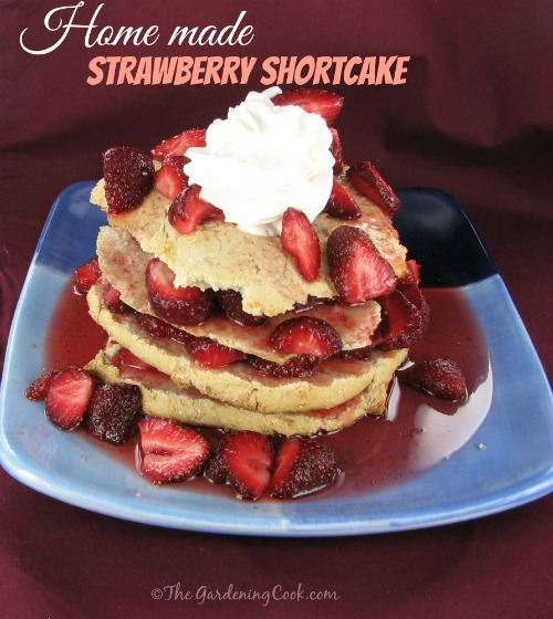 Strawberry Shortcake with Whipped Cream Topping