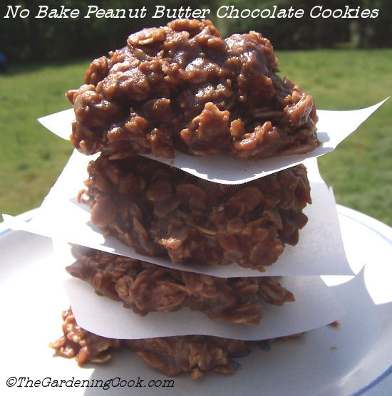 No Bake Peanut Butter Chocolate Oatmeal Cookies
