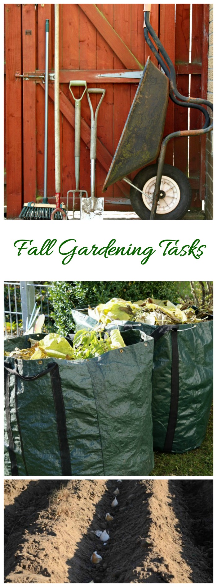 Lista de verificación de xardinería de outono - Consellos para o mantemento do xardín de outono