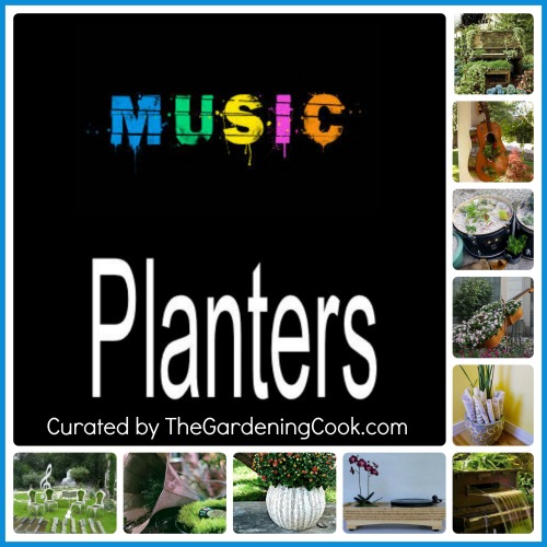 Jardinières musicales - Idées de jardinage créatives