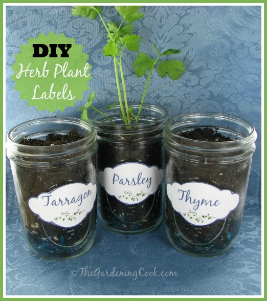 Mason Jars 및 Pots용 무료 허브 식물 라벨