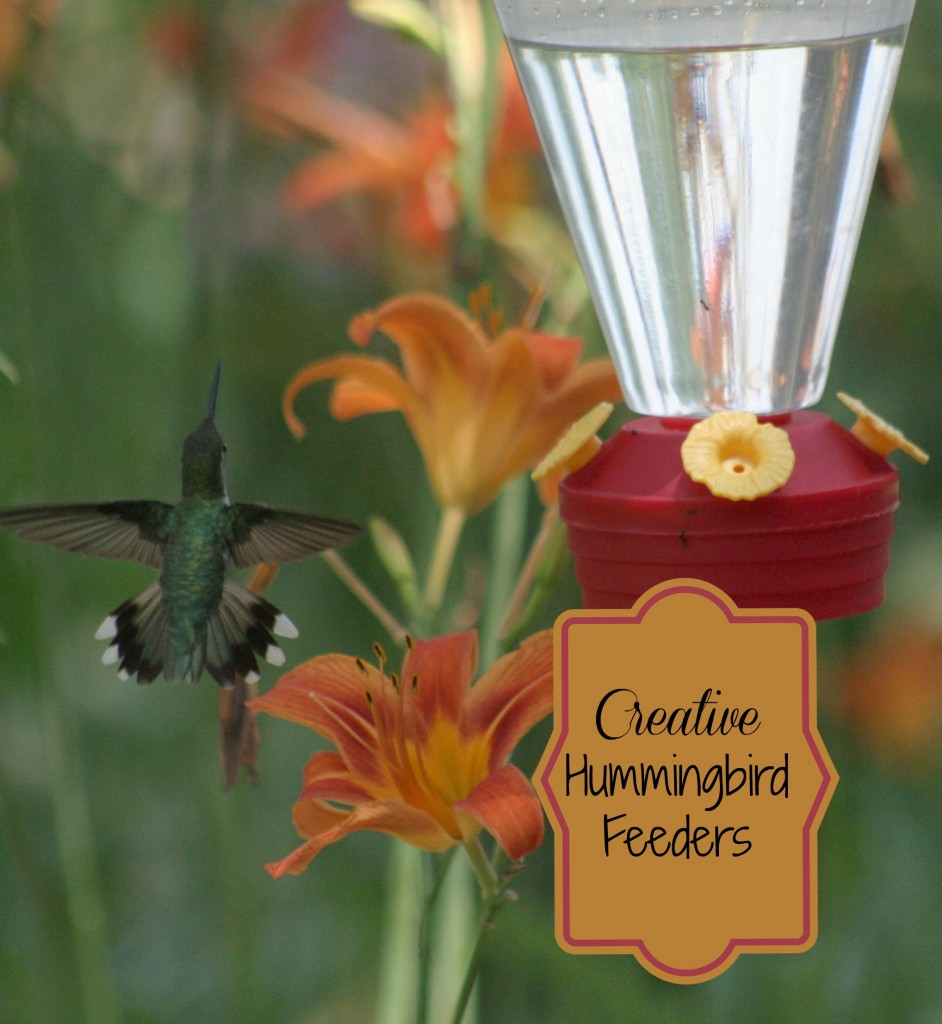 တီထွင်ဖန်တီးထားသော Hummingbird Feeders