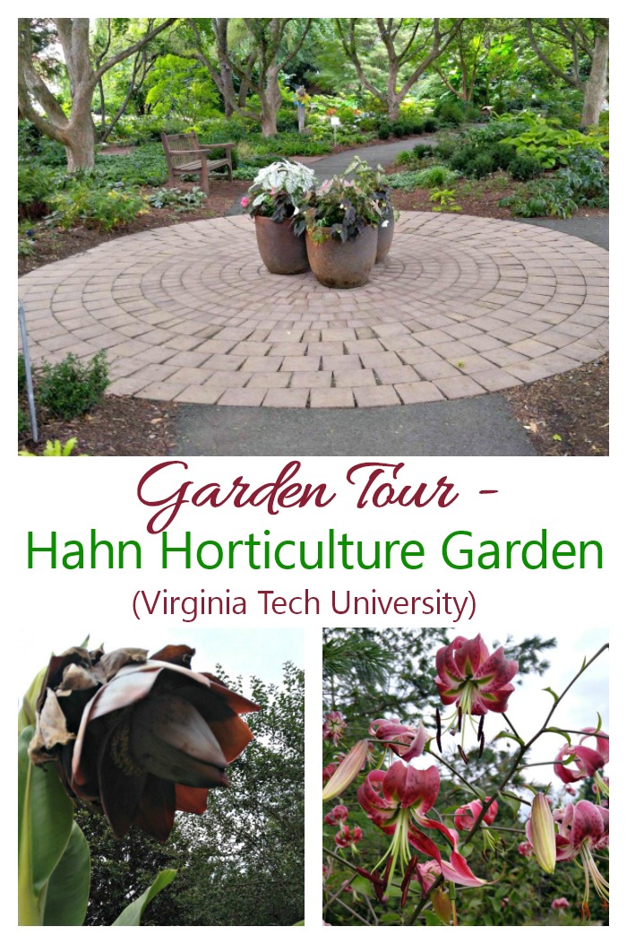 Jardí d'horticultura Hahn - Virginia Tech - Blacksburg, VA