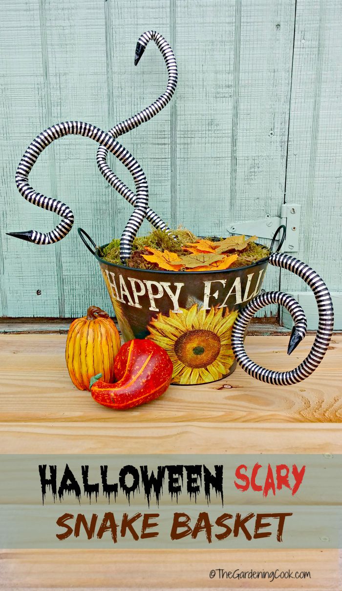 ကြောက်မက်ဖွယ်ကောင်းသော Halloween Snake Basket - လွယ်ကူသော DIY Porch အလှဆင်ခြင်း။