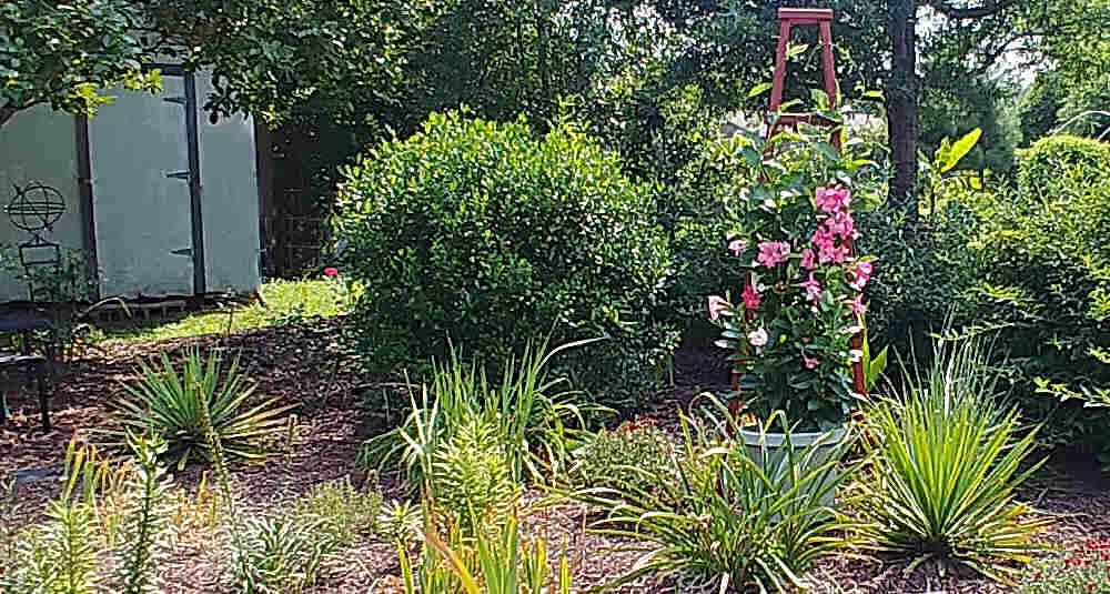 木制花园方尖碑 - 建造花园 Tuteur 攀爬花架