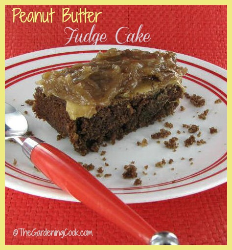 Peanut Butter Fudge Cake with Coconut Pecan Frosting