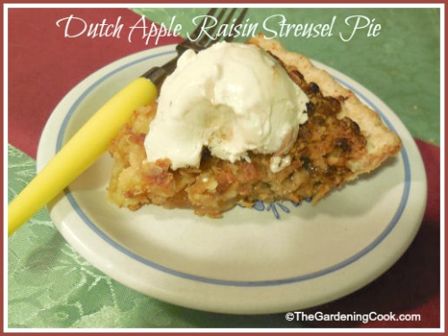 ڊچ Apple Streusel Pie with Raisins - Comfort Food Desert
