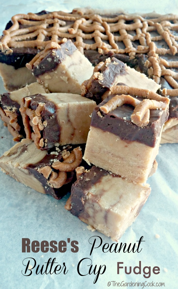 Drizzled Reese's Peanut Butter Cup Fudge