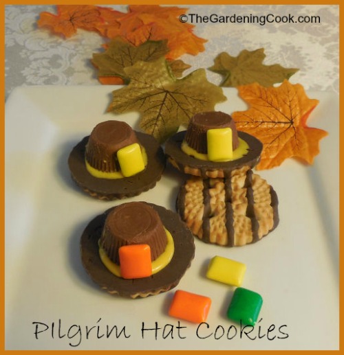 Pilgrim Hat کوکیز