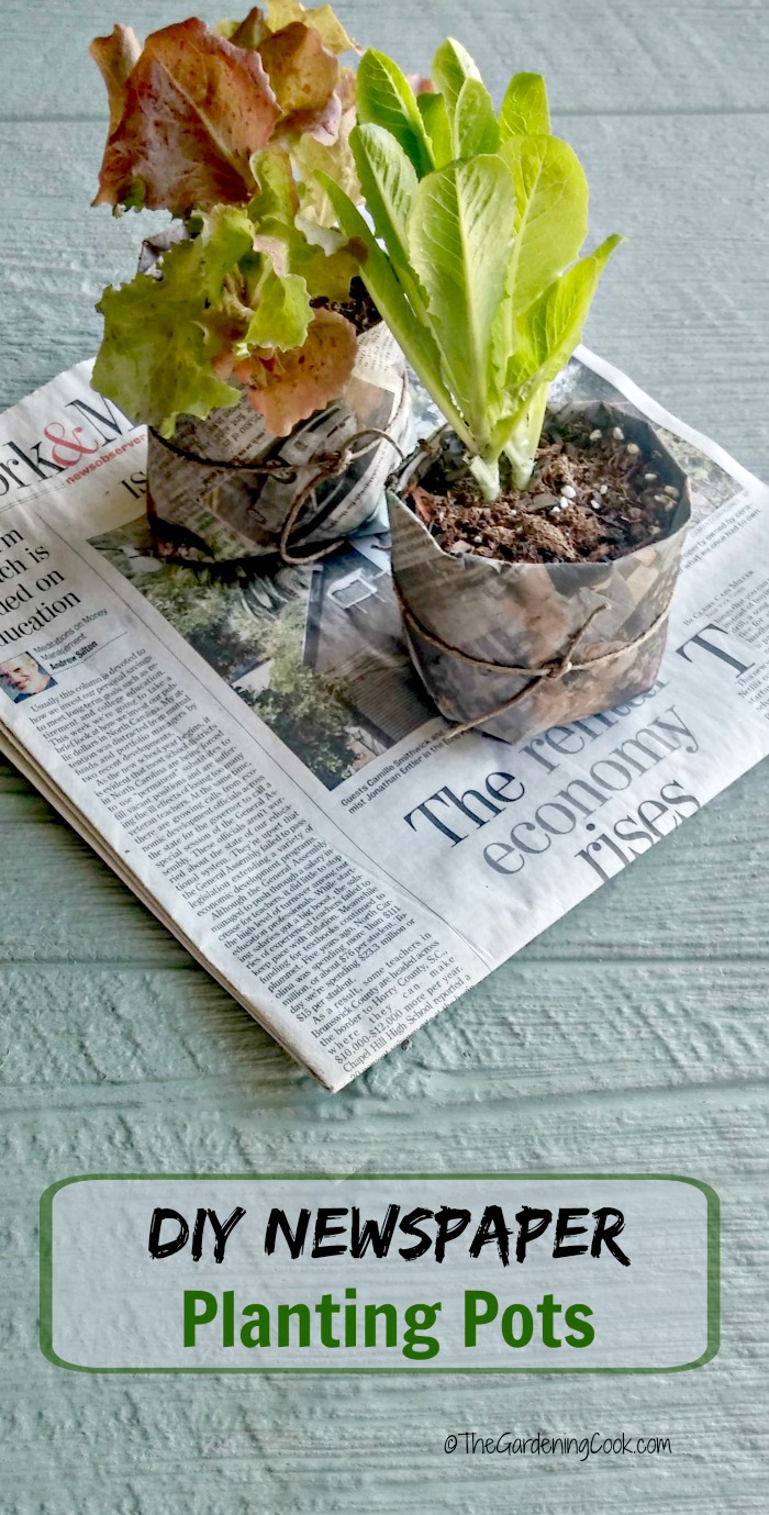 DIY újságpapír mag edények