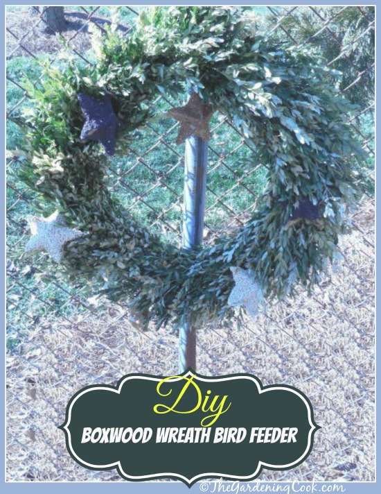 Boxwood Wreath Bird Feeder DIY Project