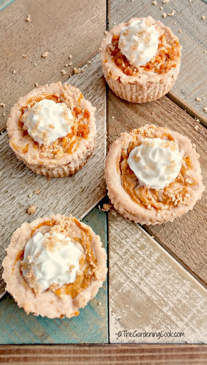 Pumpkin Swirl Mini kolači od sira