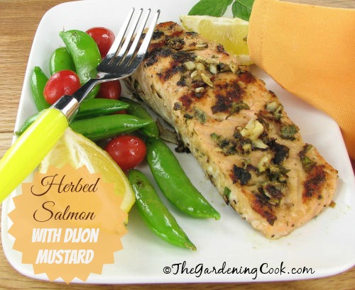 Herbed Salmon mei Dijon Mustard